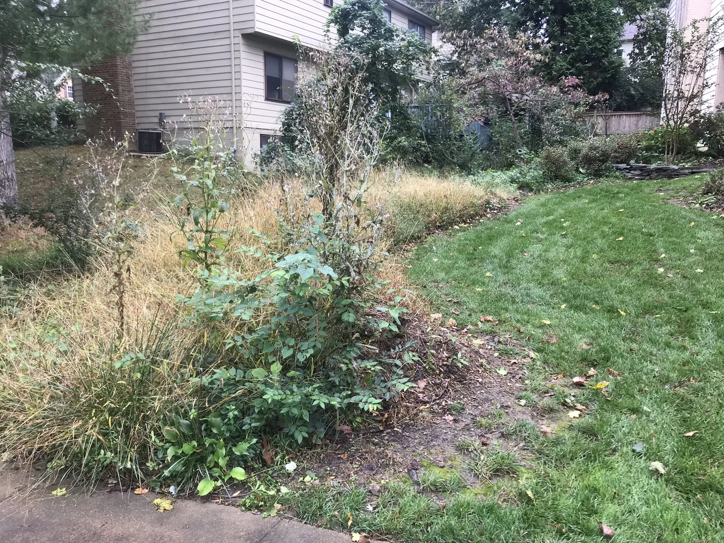 Arlington Mulching Before Picture