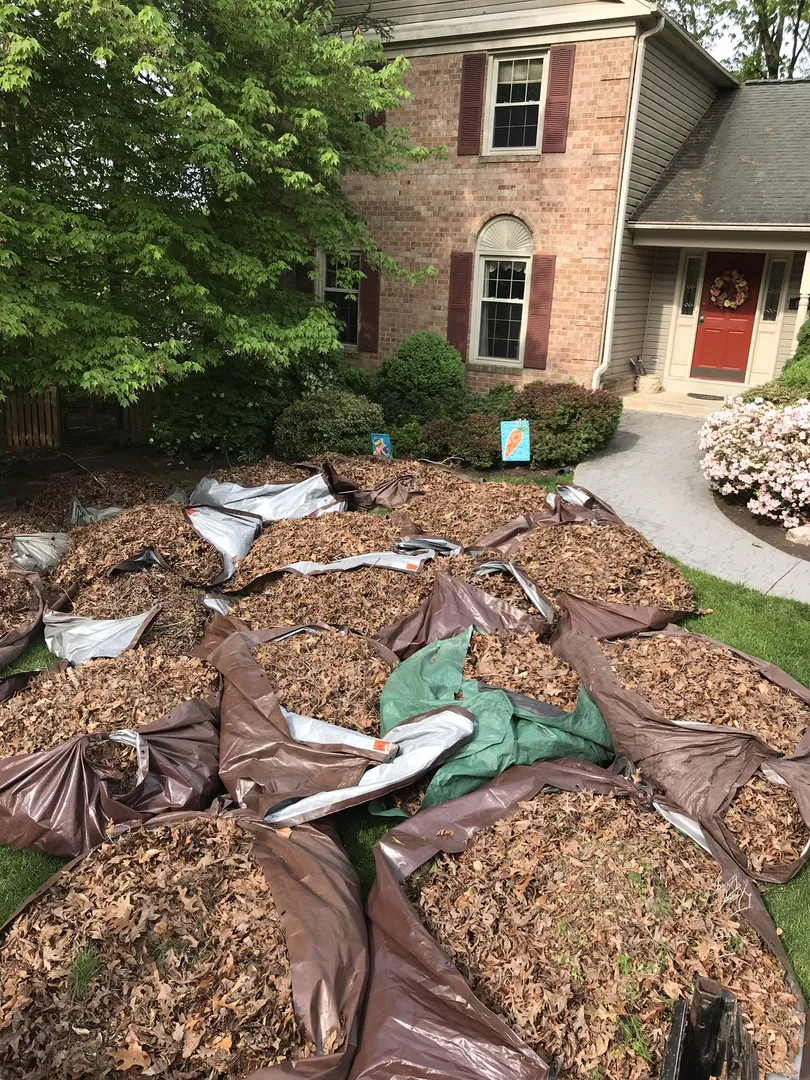 Professional Leaf Removal By Hall's Landscaping