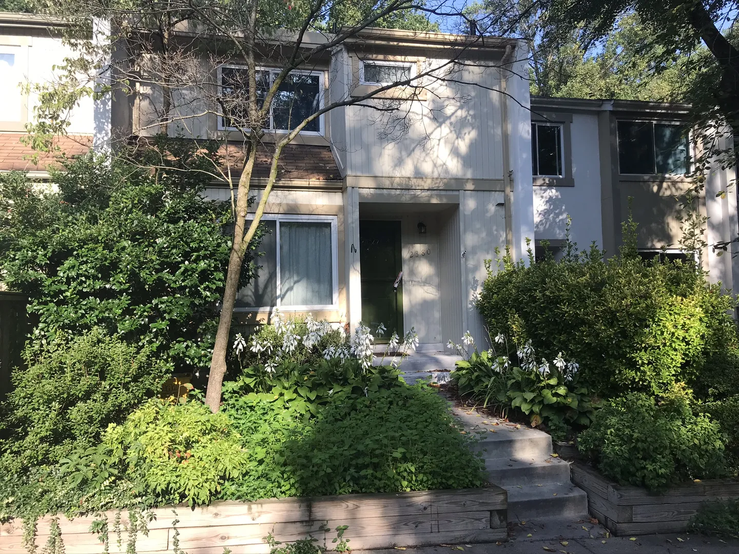 Townhouse Pruning In Arlington After Picture